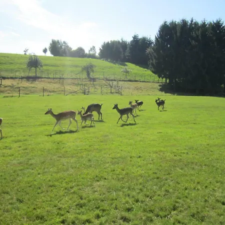 Daire Haus Alexander