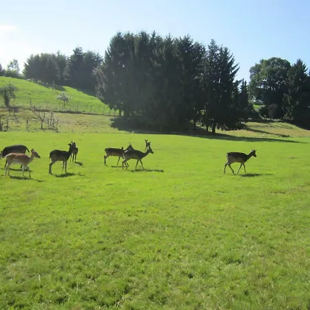 Haus Alexander Daire *