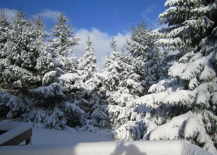 Appartement Haus Alexander