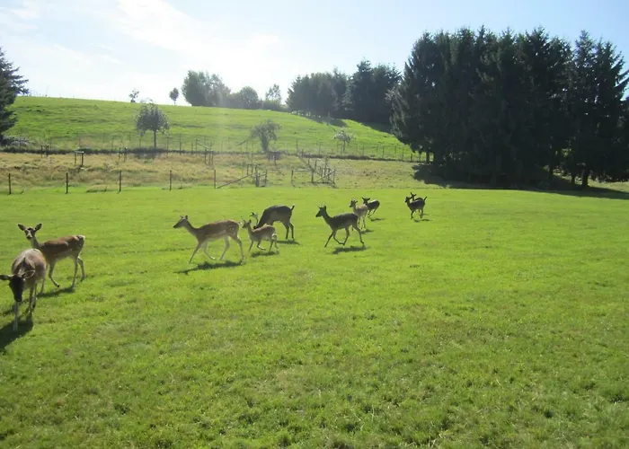 Appartement Haus Alexander