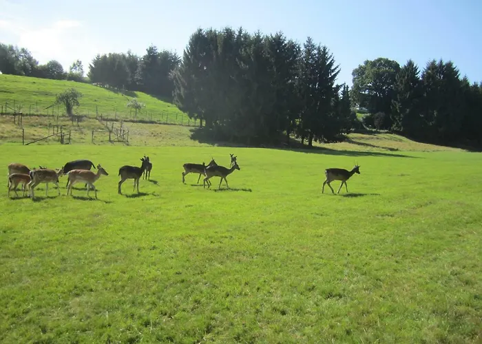 Haus Alexander Appartement *